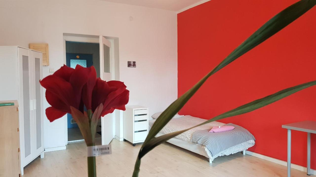 Cozy & Fun Wojewodzka, Chopina, Damrota Privatunterkunft Kattowitz